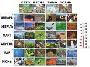 Фенологические наблюдения - fgospostavki.ru - Тула