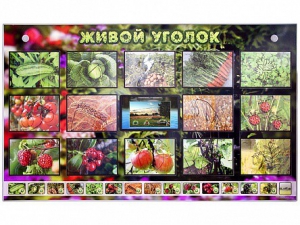 Комплект оборудования "Живой уголок" (растения) с тифлопереводом и сурдокомментариями - fgospostavki.ru - Тула