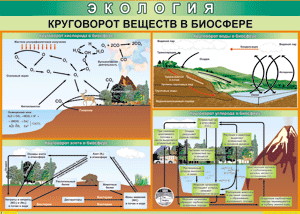 Таблица "Круговорот веществ в биосфере" (100х140 сантиметров, винил) - fgospostavki.ru - Тула