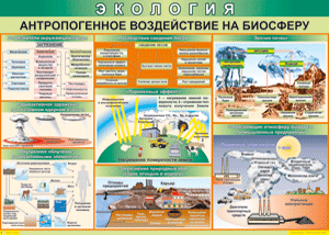 Таблица "Антропогенное воздействие на биосферу" (100х140 сантиметров, винил) - fgospostavki.ru - Тула