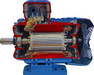 Учебная модель «Электродвигатель асинхронный в разрезе» - fgospostavki.ru - Тула