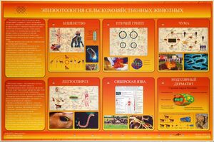 Электрифицированный стенд «Эпизоотология сельскохозяйственных животных» - fgospostavki.ru - Тула