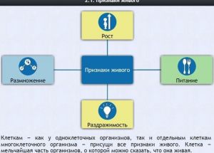 Интерактивные курсы. Биология 5 класс. Базовый - fgospostavki.ru - Тула