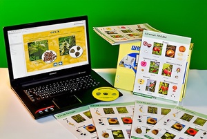 Коллекция натурально-интерактивная "Семена и плоды" - fgospostavki.ru - Тула
