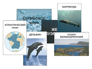 Модель-аппликация "Океаны. Знакомство" (ламинированная) - fgospostavki.ru - Тула