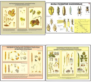 Плакаты ПРОФТЕХ "Вредители и болезни с/х культур и меры борьбы с ними" (11 пл, винил, 70х100) - fgospostavki.ru - Тула