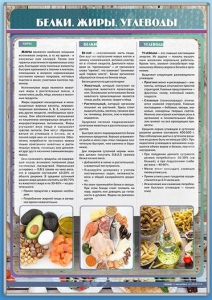 Стенд "Белки. Жиры. Углеводы" - fgospostavki.ru - Тула