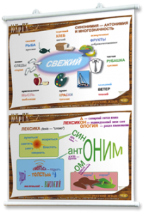 Плакаты по русскому языку для оформления кабинета. - fgospostavki.ru - Тула