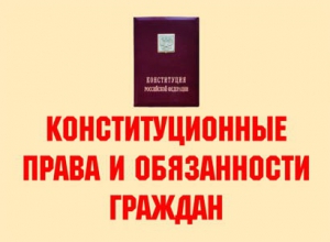 Комплект плакатов "Конституционные права и обязанности граждан" - fgospostavki.ru - Тула