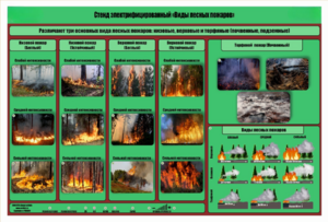 Стенд-планшет электрифицированный «Виды лесных пожаров»  - fgospostavki.ru - Тула