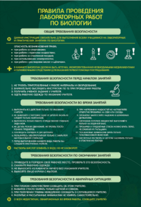 Стенд "Правила выполнения лабораторных работ по биологии" Вариант 1 - fgospostavki.ru - Тула