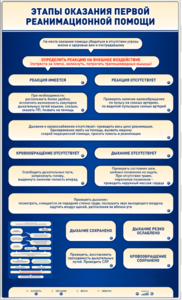 Электрифицированный стенд-тренажер "Этапы оказания первой реанимационной помощи" - fgospostavki.ru - Тула