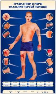 Электрифицированный стенд-тренажер "Травматизм и меры оказания первой помощи" - fgospostavki.ru - Тула