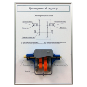 Плакат планшет с демонстрационной моделью «Цилиндрический редуктор» - fgospostavki.ru - Тула