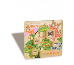 Панель «Жизненный цикл бабочки» - fgospostavki.ru - Тула