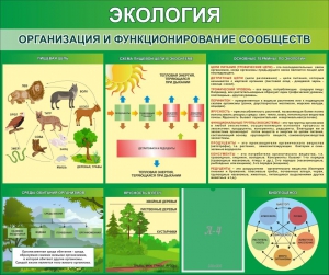 Стенд "Экология. Организация и функционирование сообществ" - fgospostavki.ru - Тула