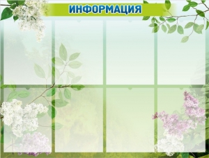 Стенд "Информация" Вариант 13 - fgospostavki.ru - Тула