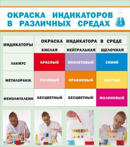 Стенд "Окраска индикаторов в различных средах" - fgospostavki.ru - Тула