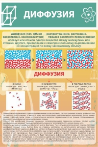 Стенд "Диффузия" - fgospostavki.ru - Тула
