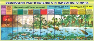 Стенд "Эволюция растительного и животного мира" - fgospostavki.ru - Тула