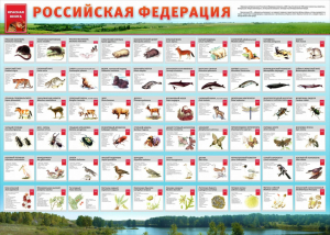 Стенд "Красная книга РФ" - fgospostavki.ru - Тула