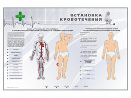 Электрифицированный стенд "Остановка кровотечения" - fgospostavki.ru - Тула