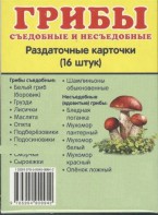 Раздаточные карточки "Грибы съедобные и не съедобные" - fgospostavki.ru - Тула
