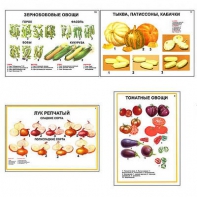 Плакаты ПРОФТЕХ "Ассортимент овощных культур" (12 пл, винил, 70х100) - fgospostavki.ru - Тула