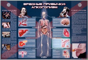 Электрифицированный стенд "Вредные привычки: алкоголизм" - fgospostavki.ru - Тула