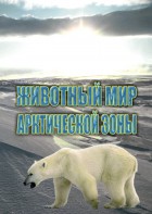 DVD "Животный мир Арктической зоны" - fgospostavki.ru - Тула