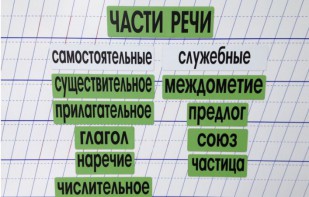 Набор магнитных карточек "Части речи" (фон зелёный) - fgospostavki.ru - Тула
