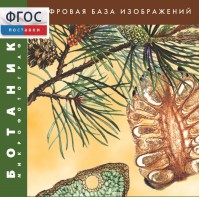 Ботаника. Микрофотографии. (Цифровая база изображений) - fgospostavki.ru - Тула