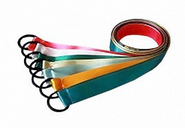 Лента гимнастическая на кольце (1 метр) - fgospostavki.ru - Тула