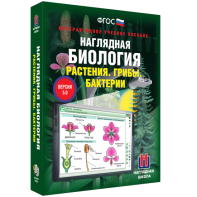 Наглядная биология. 6 класс. Растения. Грибы. Бактерии - fgospostavki.ru - Тула