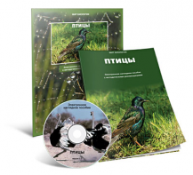 Электронное наглядное пособие «Птицы» - fgospostavki.ru - Тула