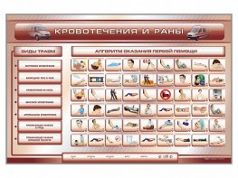 Трехсекционный базовый комплект "Травмы. Кровотечения. Ожоги" для учащихся общеобразовательных учреждений - fgospostavki.ru - Тула