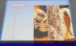 Коллекция "Палеонтологическая" (16 образцов) - fgospostavki.ru - Тула