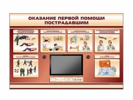 Многофункциональный интерактивный стенд-тренажер "Оказание первой помощи пострадавшим" для учащихся общеобразовательных учреждений - fgospostavki.ru - Тула