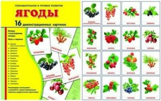Демонстрационные карточки "Ягоды" - fgospostavki.ru - Тула