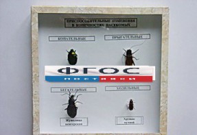 Коллекция энтомологическая "Приспособительные изменения в конечностях насекомых" - fgospostavki.ru - Тула