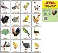Раздаточные карточки "Птицы домашние и декоративные" - fgospostavki.ru - Тула