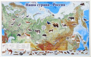 Магнитные карточки "Животные" - fgospostavki.ru - Тула