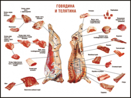 Таблица "Правила разделки мясных туш. Говядина и телятина" (100х140 сантиметров, винил) - fgospostavki.ru - Тула