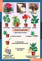 Комплект таблиц. Окружающий мир 1 класс. - fgospostavki.ru - Тула