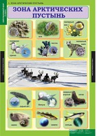 Комплект таблиц. Окружающий мир 4 класс. - fgospostavki.ru - Тула