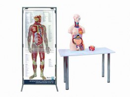 Интерактивный учебный комплекс "Анатомический атлас 3D" - fgospostavki.ru - Тула