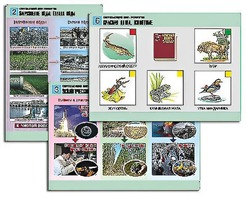 Комплект таблиц "Окружающий мир. Экология" (6 таблиц, А1, ламинированные) - fgospostavki.ru - Тула