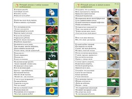 Комплект карточек (10) "Обучающий калейдоскоп. Природа" - fgospostavki.ru - Тула