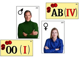 Модель-аппликация "Генетика групп крови" (ламинированная) - fgospostavki.ru - Тула