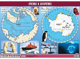 Таблица демонстрационная "Арктика и Антарктика" (винил 100*140) - fgospostavki.ru - Тула